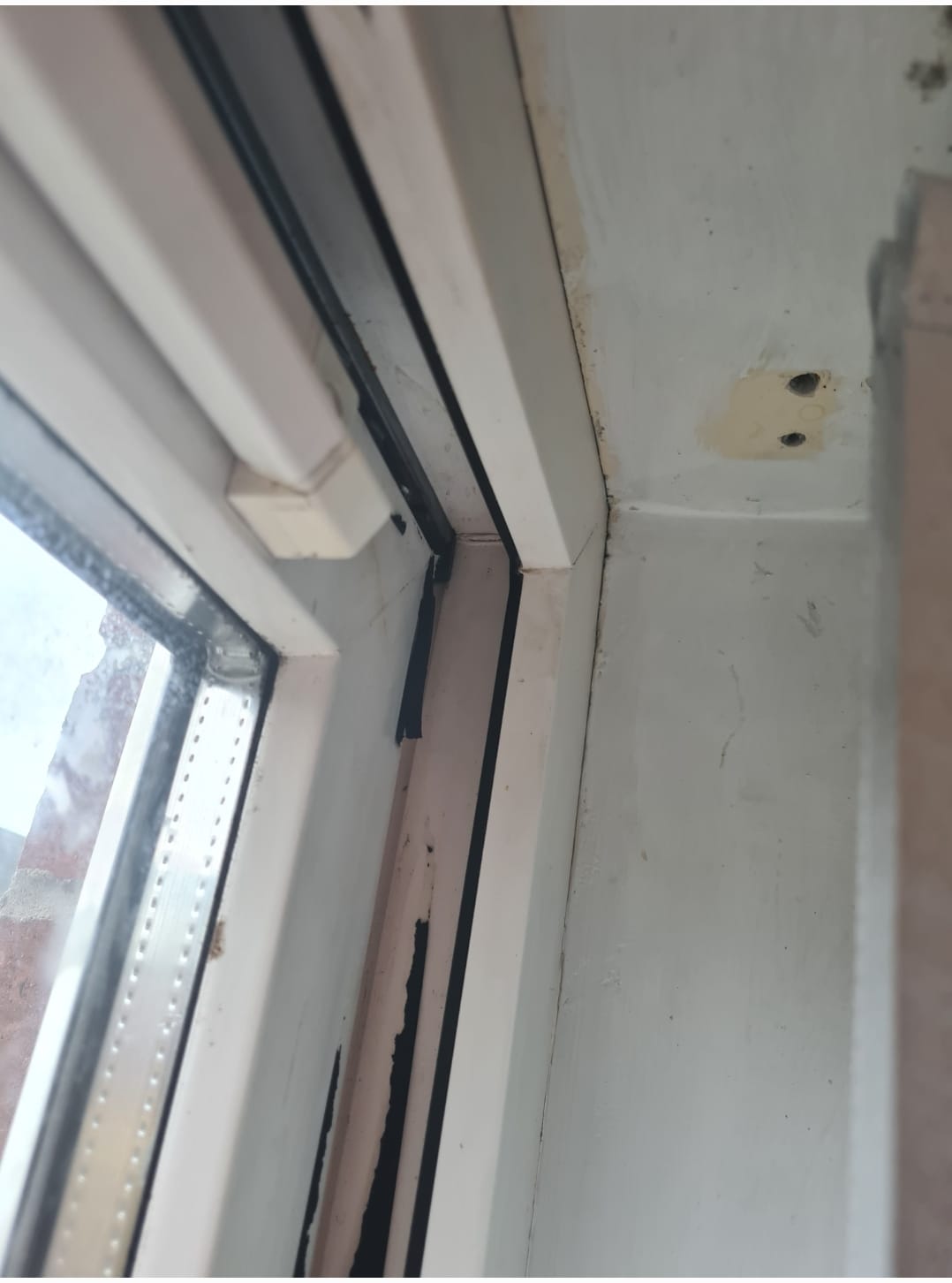 Window Repairs 24